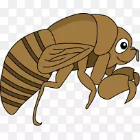 蝉蚤幼虫昆虫剪贴画-蚤-空若网 蝉蚤幼虫昆虫剪贴画-蚤-空若网