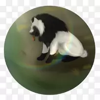 鼻梁-空若网 鼻梁-空若网