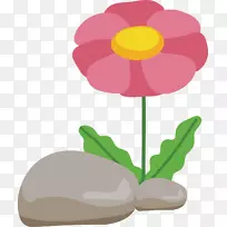 红花石-空若网 红花石-空若网