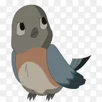 èͷӥ����ͨ���èͷӥ-������