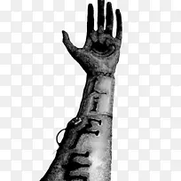 ��ָ-��Ҫ����-������