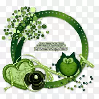 ��ɫ���徫��߿�-������