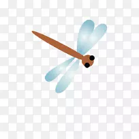 螺旋桨昆虫-空若网 螺旋桨昆虫-空若网