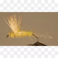 昆虫人工蝇-空若网 昆虫人工蝇-空若网