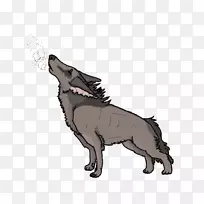 狗繁殖鼻子野生动物爪子狗-空若网 狗繁殖鼻子野生动物爪子狗-空若网