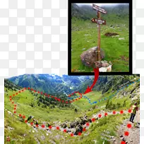 ��̬ɽվ��ɽ������-������