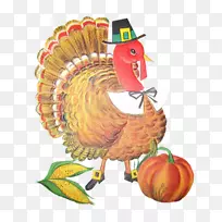 感恩节水果鸡作为食物-感恩节-空若网 感恩节水果鸡作为食物-感恩节-空若网