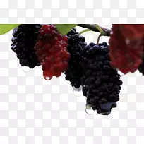 ���Ѻ�ɣ��-������