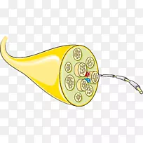 动物身体珠宝剪贴画.设计-空若网 动物身体珠宝剪贴画.设计-空若网