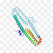 ֱ�ߵ����-������