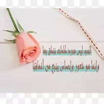 心字android-android-空若网 心字android-android-空若网