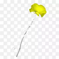 ���꿪��ֲ��Ҷ��Ҷ-������