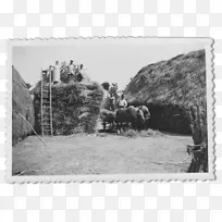 摄影长方形框-空若网 摄影长方形框-空若网