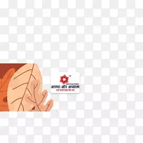 ֽ�ձ���ָ�������-������