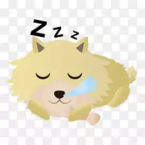 胡须狗猫鼻子狗-空若网 胡须狗猫鼻子狗-空若网