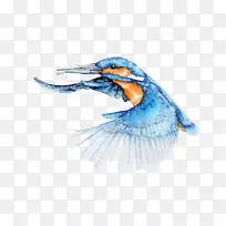 ��ˮ�ʻ����ʦ�廭���������-������