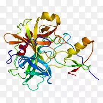 蛋白质结构预测的同源性模型-糖尿病-空若网 蛋白质结构预测的同源性模型-糖尿病-空若网