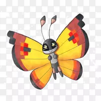 帝王蝶,刷足蝴蝶,昆虫蝴蝶-空若网 帝王蝶,刷足蝴蝶,昆虫蝴蝶-空若网