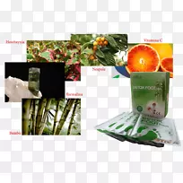 草竹墙贴纸森林文字-竹子-空若网 草竹墙贴纸森林文字-竹子-空若网