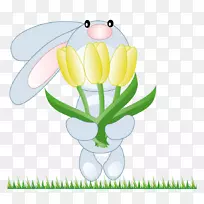 郁金香切花植物茎夹艺术-郁金香-空若网 郁金香切花植物茎夹艺术-郁金香-空若网