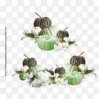 南瓜冬瓜昆虫葫芦南瓜-空若网 南瓜冬瓜昆虫葫芦南瓜-空若网