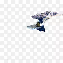 Þ¹Ò²ÝÊ÷-¿ÕÈôÍø Þ¹Ò²ÝÊ÷-¿ÕÈôÍø