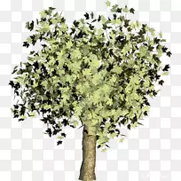 Ê÷Ö¦¼ôÌù»-¿ÕÈôÍø Ê÷Ö¦¼ôÌù»-¿ÕÈôÍø