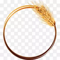 Adobe插画.手绘小麦-空若网 Adobe插画.手绘小麦-空若网