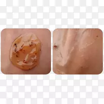 �������ָ��Ƭ��-������