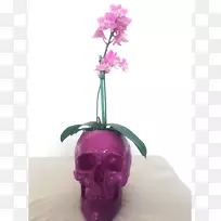 花盆开花植物粉红色m-花-空若网 花盆开花植物粉红色m-花-空若网