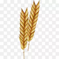 土坯插图-现实小麦-空若网 土坯插图-现实小麦-空若网