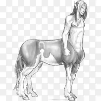 意大利Casale Kolidur餐厅区野马酒店-空若网 意大利Casale Kolidur餐厅区野马酒店-空若网