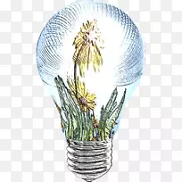 花盆树-花-空若网 花盆树-花-空若网