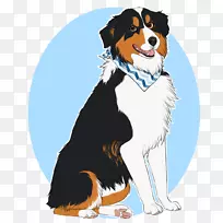 犬种澳大利亚牧羊犬伯恩塞山犬小狗伴犬-小狗-空若网 犬种澳大利亚牧羊犬伯恩塞山犬小狗伴犬-小狗-空若网