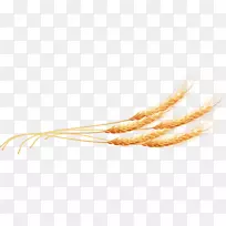 欧麦水果食品-小麦载体水果天然食品-空若网 欧麦水果食品-小麦载体水果天然食品-空若网