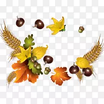 秋枫麦-空若网 秋枫麦-空若网