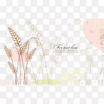 ���ػ��󱳾�-������