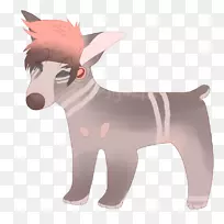 培育小狗驴鼻子-小狗-空若网 培育小狗驴鼻子-小狗-空若网