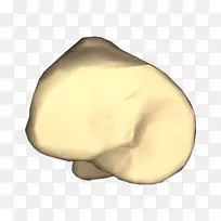 鼻设计-空若网 鼻设计-空若网