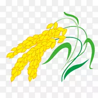 ��������-С��-������