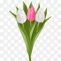 �����㻨��������-������-������