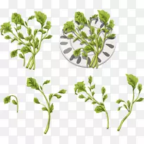 草叶蔬菜保存文件夹艺术.蔬菜字母表-空若网 草叶蔬菜保存文件夹艺术.蔬菜字母表-空若网