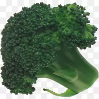 �������߲�ͼ������-��Ҭ��-������