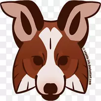 狗繁殖边境牧羊犬粗野牧羊犬博客鼻子-郊狼-空若网 狗繁殖边境牧羊犬粗野牧羊犬博客鼻子-郊狼-空若网