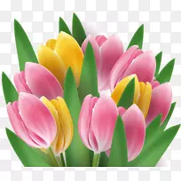 郁金香花夹艺术-郁金香-空若网 郁金香花夹艺术-郁金香-空若网