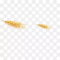 �̱�����ʳ-С��-������