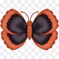 蝴蝶昆虫艺术蛾毛虫-蝴蝶-空若网 蝴蝶昆虫艺术蛾毛虫-蝴蝶-空若网