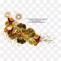 电脑桌面壁纸-电脑-空若网 电脑桌面壁纸-电脑-空若网