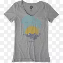 t������t��-������