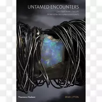 �������ѱ�������ˣ����Բ�Ѱ����ʯ���նٲ�ĵ����鱦-������